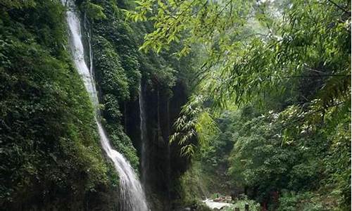 重庆黑山谷旅游攻略_重庆黑山谷旅游攻略景点必去