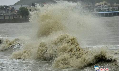 台风海马_台风海马登陆于哪一年