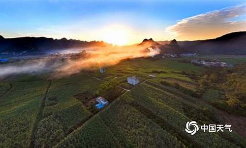 大新天气_大新天气预报