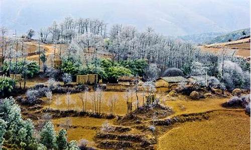 四川省凉山彝族自治州天气_四川省凉山彝族自治州天气预报